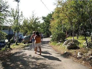 Paviljoni & Kacjak